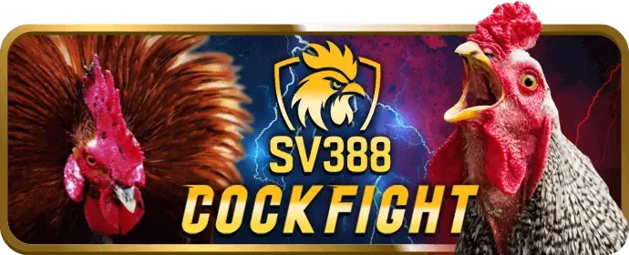 Cá cược bóng đá tại 79vip